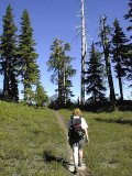 Walkin' the trail...