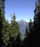 View from the trail
