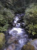 View of the river