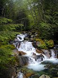 Waterfall on Humpback Creek 