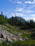 Commonwealth Basin