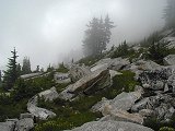 Foggy