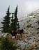 pilchuck2k105.jpg