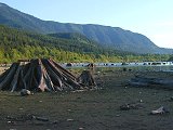 Rattlesnake Lake Stumps