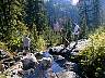 snowlake13.jpg