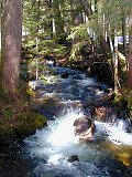 Talapus Creek