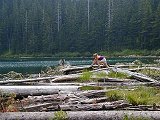 Logs at the lake