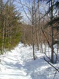 Snowy Trail