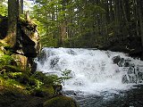 McIntosh Falls