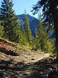 On the trail
