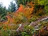 marten_creek07.jpg