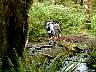 otterfalls02.jpg
