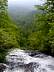 amicalola07.jpg