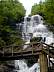 amicalola11.jpg