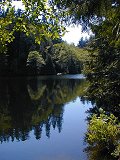 Smells like lake