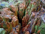 Canyon? Stump?