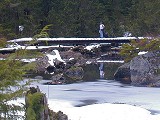 Playing bridge