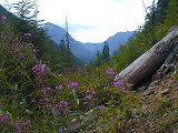 Silver Creek Trail
