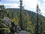Butte View