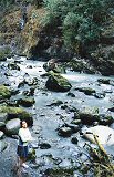 Krish on the River