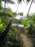 Trail