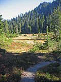 Meadow