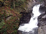 Falls