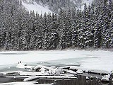 Logs at the lake