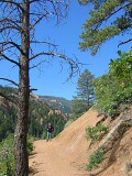 Tree, trail, tra-la-la