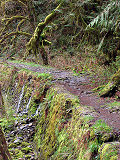Trail