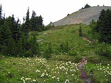 Silver Peak