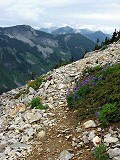 Trail