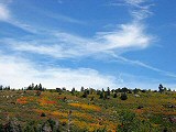 Ridge with fall colors