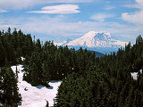 Rainier