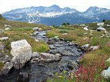 Blackcomb