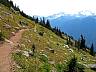 whistler05.jpg