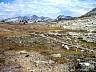 whistler11.jpg