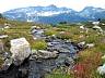 whistler13.jpg