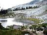 whistler16.jpg