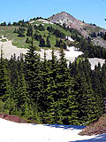 Silver peak