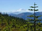 Rainier